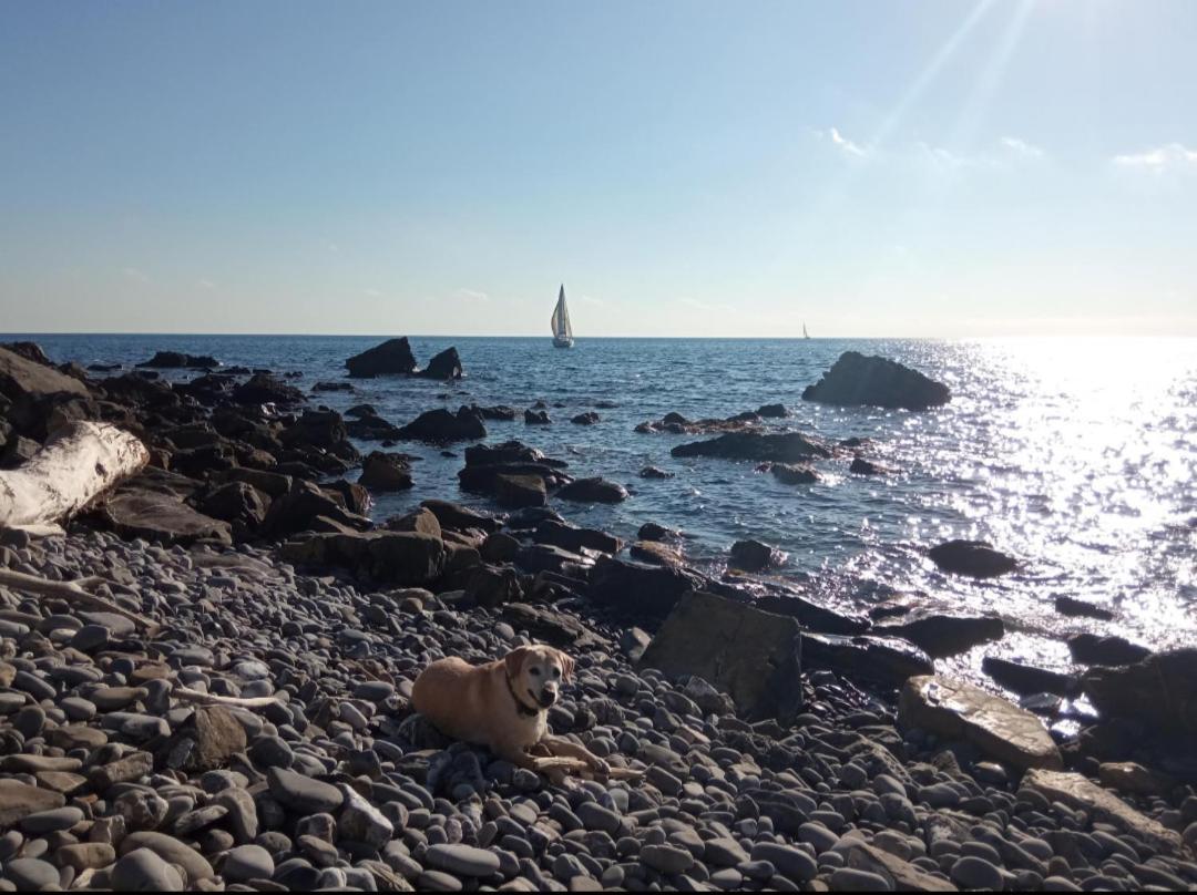 Cluxury-Torre Dei Saraceni Boutique Apt By The Sea Beach, Pool,Private Jacuzzi, Parking Cervo Exterior foto